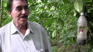Don Abelino Escobar, Farm Manager, Belmont estate, Santa Tecla, El Salvador with one of his home-made traps, showing the methanol:ethanol dispenser. Credit: P Lievens, PAN UK