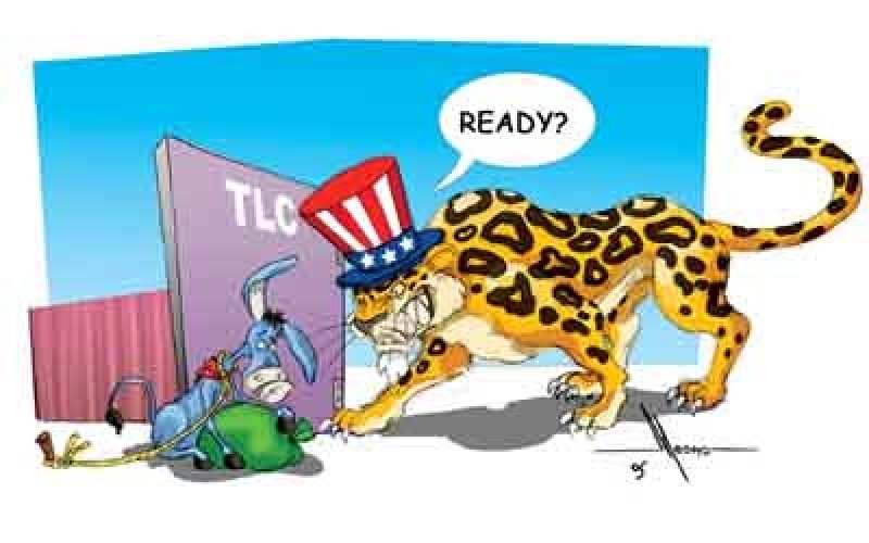 tlcnoseman0508